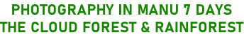 PHOTOGRAPHY IN MANU 7 DAYS THE CLOUD FOREST & RAINFOREST